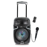 iParty Wireless Trolley Karaoke Audio System with Microphone